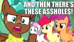 Size: 1920x1080 | Tagged: safe, edit, edited screencap, screencap, apple bloom, scootaloo, spur, sweetie belle, growing up is hard to do, and then there's this asshole, caption, cutie mark, image macro, older, older apple bloom, older cmc, older scootaloo, older sweetie belle, text, the cmc's cutie marks, vulgar