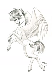 Size: 1000x1395 | Tagged: safe, artist:baron engel, oc, oc:apogee, pegasus, pony, colored hooves, female, filly, grayscale, mare, monochrome, pencil drawing, simple background, sketch, solo, traditional art, white background