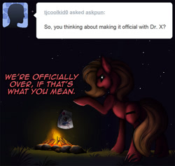 Size: 844x800 | Tagged: safe, artist:casynuf, oc, oc:pun, earth pony, pony, ask, ask pun, campfire, female, fire, implied oc, mare, photo