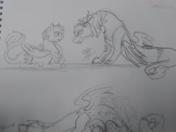 Size: 2560x1920 | Tagged: safe, artist:maddiscordia410, artist:wolfspiritclan, oc, oc only, oc:adean ruby nights, oc:adean the draconequus, draconequus, pegasus, pony, draconequus oc, traditional art