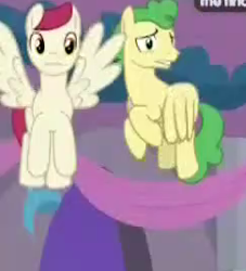 Size: 243x268 | Tagged: safe, screencap, huckleberry, sugar maple, pegasus, pony, she's all yak, cropped, flying, friendship student, male, wings