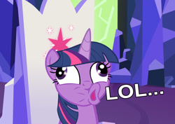 Size: 1372x969 | Tagged: safe, edit, twilight sparkle, faic, lol, meme, solo, text, twilight's castle