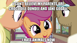 Size: 960x539 | Tagged: safe, edit, edited screencap, screencap, mane allgood, scootaloo, snap shutter, earth pony, pegasus, pony, the last crusade, caption, cartoonito logo, clothes, cutie mark, family, female, filly, foal, image macro, male, mare, misspelling, shirt, stallion, text, the cmc's cutie marks, trio