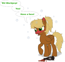 Size: 3059x2922 | Tagged: safe, artist:kitana762, oc, oc:threnody, pegasus, pony, fallout equestria, fallout equestria: speak, blushing, drunk, fanfic art, ponytail, sparkle cola