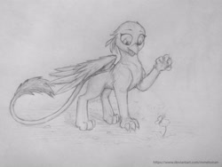 Size: 4160x3120 | Tagged: safe, artist:mmeloman, gabby, butterfly, griffon, catbird, cute, eyes on the prize, gabbybetes, pencil drawing, traditional art