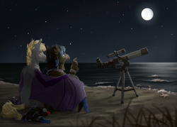 Size: 2800x2000 | Tagged: source needed, safe, artist:marinavermilion, oc, oc only, oc:night striker, oc:shadow (sh-1014), pony, beach, hug, moon, night, ocean, scenery, stargazing, stars, telescope, wife, winghug