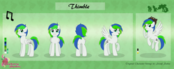 Size: 6894x2744 | Tagged: safe, artist:raspberrystudios, oc, oc only, oc:thimble, pegasus, pony, commission, cutie mark, height difference, reference sheet