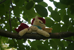 Size: 3888x2592 | Tagged: safe, artist:bastler, derpibooru exclusive, oc, oc only, oc:aurora harmony, pegasus, pony, female, irl, mare, neckerchief, photo, plushie, sleeping, solo, ticket, tree branch