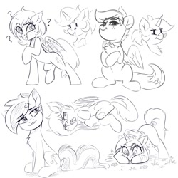 Size: 1200x1200 | Tagged: safe, artist:taneysha, oc, bat pony, earth pony, pegasus, pony, unicorn