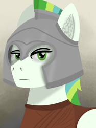 Size: 768x1024 | Tagged: safe, artist:riley vinchers, oc, oc only, oc:shell watch, pegasus, pony, equestria at war mod, armor, bust, clothes, green eyes, portrait, spartan