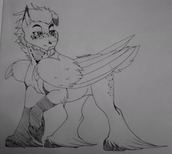 Size: 2022x1808 | Tagged: safe, artist:theecchiqueen, oc, oc only, oc:calypso orchid, bat pony, hybrid, pegasus, pony, bat pony oc, facial hair, fangs, male, monochrome, sketch, solo, stallion, traditional art, unshorn fetlocks