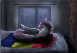 Size: 3032x2108 | Tagged: safe, artist:baly89, oc, oc only, alicorn, pony, alicorn oc, flag, romania, sleeping, solo