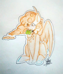 Size: 720x842 | Tagged: safe, artist:shiroikitten, oc, oc:vanilla cloudy, pegasus, pony, cloud mane, clover, female, four leaf clover, mare, solo, traditional art