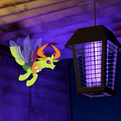 Size: 468x468 | Tagged: safe, thorax, changedling, changeling, a bug's life, behaving like a moth, bug zapper, bugs doing bug things, flying, irl, king thorax, male, oh no, photo, smiling, solo, this will end in death