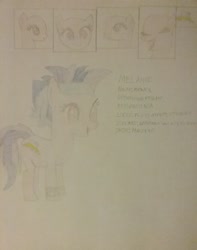 Size: 1944x2473 | Tagged: safe, artist:jaredking179, oc, oc only, oc:melanie, earth pony, pony, female, mare, reference sheet, traditional art