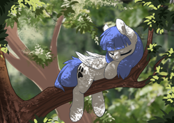 Size: 3500x2475 | Tagged: safe, artist:arctic-fox, oc, oc only, oc:snow pup, pegasus, pony, cute, dappled sunlight, ear fluff, eyes closed, female, mare, ocbetes, sleeping, tree, tree branch