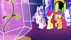 Size: 800x450 | Tagged: safe, screencap, apple bloom, scootaloo, sweetie belle, earth pony, pegasus, pony, unicorn, growing up is hard to do, age spell, animated, bow, crystal, cutie map, cutie mark, cutie mark crusaders, friendship throne, gif, hair bow, high five, looking at each other, older, older apple bloom, older cmc, older scootaloo, older sweetie belle, smiling, table, the cmc's cutie marks, twilight's castle, whoops