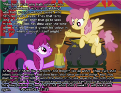 Size: 1197x918 | Tagged: safe, edit, edited screencap, screencap, berry punch, berryshine, dizzy twister, orange swirl, earth pony, pegasus, pony, background pony, bible verse, cider, drunk, duo, female, flying, grin, hoof hold, hooves, ladle, mare, mug, religion, smiling, solo, spread wings, tankard, text, wall of text, wings