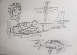 Size: 2460x1780 | Tagged: safe, artist:buckweiser, earth pony, pony, pilot, plane, traditional art