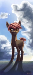 Size: 479x1080 | Tagged: safe, artist:weird--fish, oc, earth pony, pony, cloud, solo