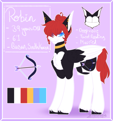 Size: 1979x2135 | Tagged: safe, artist:honeybbear, oc, oc:robin, pegasus, pony, male, solo, stallion, two toned wings