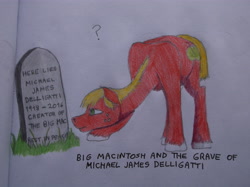 Size: 4608x3440 | Tagged: safe, artist:wargofanthropo-cene, big macintosh, earth pony, pony, big mac (burger), burger, food, gravestone, hamburger, implied death, photo, question mark