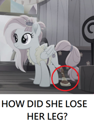 Size: 390x518 | Tagged: safe, edit, edited screencap, screencap, kerfuffle, pegasus, pony, rainbow roadtrip, amputee, caption, female, image macro, mare, prosthetic leg, prosthetic limb, prosthetics, solo, text