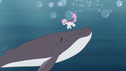 Size: 2000x1124 | Tagged: safe, screencap, sweetie belle, pony, unicorn, whale, growing up is hard to do, animal, being big is all it takes, cutie mark, female, humpback whale, mare, older, older sweetie belle, solo, the cmc's cutie marks, underwater