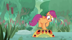 Size: 2000x1124 | Tagged: safe, screencap, scootaloo, bufogren, pegasus, pony, growing up is hard to do, cattails, cutie mark, female, hayseed swamp, looking down, looking up, mare, older, older scootaloo, raised hoof, swamp, the cmc's cutie marks, tree