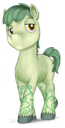 Size: 743x1451 | Tagged: safe, artist:stillwaterspony, oc, oc only, oc:teajay, earth pony, pony, male, solo, unshorn fetlocks