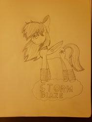 Size: 3024x4032 | Tagged: safe, oc, oc only, oc:stormblaze, pegasus, pony, monochrome, solo, traditional art