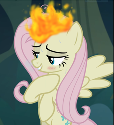 Size: 855x939 | Tagged: safe, edit, edited screencap, screencap, mean fluttershy, pony, the mean 6, blushing, burning, clone, cropped, sweat