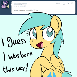 Size: 750x750 | Tagged: safe, artist:datahmedz, sunshower raindrops, pony, ask, raindropsanswers, solo, tumblr