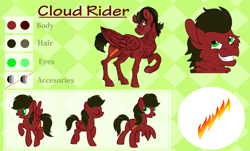 Size: 6000x3632 | Tagged: safe, artist:euspuche, oc, oc:cloud rider, pegasus, pony, reference sheet, vector