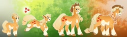 Size: 1651x484 | Tagged: safe, artist:turnipberry, derpibooru import, applejack, earth pony, pony, the cutie mark chronicles, the last problem, age progression, applejack's hat, bald face, braided tail, coat markings, cowboy hat, cutie mark, elderly, female, filly, filly applejack, foal, gradient background, hat, mare, socks (coat marking), younger