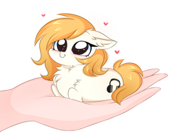 Size: 2988x2433 | Tagged: safe, artist:pesty_skillengton, oc, human, pony, chibi, cute, female, fluffy, hand, love, solo