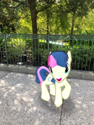 Size: 3024x4032 | Tagged: safe, photographer:undeadponysoldier, bon bon, sweetie drops, earth pony, pony, augmented reality, bush, disney springs, disney world, downtown disney, female, gameloft, irl, looking at you, mare, open mouth, photo, ponies in real life, solo, tree