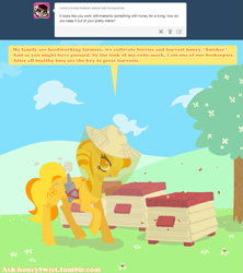 Size: 1243x1400 | Tagged: safe, artist:mindmusic, oc, oc:honey twist, bee, pegasus, pony, ask, bee box, beekeeper, food, honey, solo, tumblr