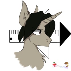 Size: 768x768 | Tagged: safe, artist:joestarpon3, oc, oc only, oc:archooves, pony, unicorn, bust, male, solo, stallion