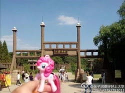 Size: 440x329 | Tagged: safe, derpibooru import, pinkie pie, china, irl, photo, toy