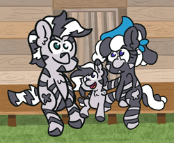 Size: 1100x900 | Tagged: safe, artist:threetwotwo32232, oc, oc only, oc:cotton ball, oc:cotton gin, oc:cotton picker, pony, zebra, bandana, female, looking at you, male, mare, sitting, smiling, stallion, zebra oc