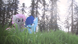 Size: 4000x2254 | Tagged: safe, artist:bastbrushie, oc, oc:brushie brusha, oc:sweet shutter, pony, irl, photo, ponies in real life, tree