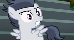 Size: 1181x647 | Tagged: safe, screencap, rumble, pegasus, pony, marks and recreation, angry, colt, male, solo