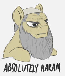 Size: 942x1100 | Tagged: safe, artist:t72b, derpibooru exclusive, igneous rock pie, earth pony, pony, saddle arabian, absolutely disgusting, absolutely haram, beard, disappointed, facial hair, frown, hat, islam, meme, ponified meme, solo