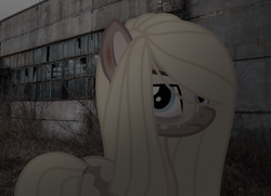 Size: 983x713 | Tagged: safe, artist:rerorir, oc, oc:regina, earth pony, pony, base used, female, mare, solo