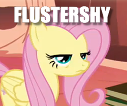 Size: 360x300 | Tagged: safe, edit, edited screencap, screencap, fluttershy, pegasus, pony, bridle gossip, book, caption, cropped, female, flustered, flustershy, golden oaks library, image macro, impact font, mare, pun, solo, text, unamused