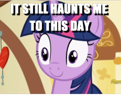 Size: 360x282 | Tagged: safe, edit, edited screencap, screencap, twilight sparkle, twilight sparkle (alicorn), alicorn, a flurry of emotions, caption, cropped, haunted, image macro, ptsd, solo, text, thousand yard stare