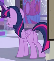 Size: 431x483 | Tagged: safe, derpibooru import, screencap, rarity, twilight sparkle, twilight sparkle (alicorn), alicorn, pony, unicorn, the summer sun setback, butt, cropped, plot