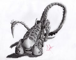 Size: 1024x808 | Tagged: safe, artist:raindeimos, alien, pony, alien (franchise), monochrome, ponified, solo, xenomorph