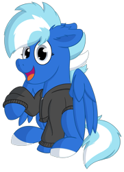 Size: 761x1049 | Tagged: safe, artist:exobass, oc, oc:exobass, pegasus, pony, 2020 community collab, blue, derpibooru community collaboration, pegasus oc, pullover, solo, transparent background